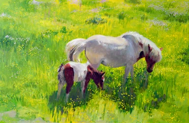 Piebald horse and foal